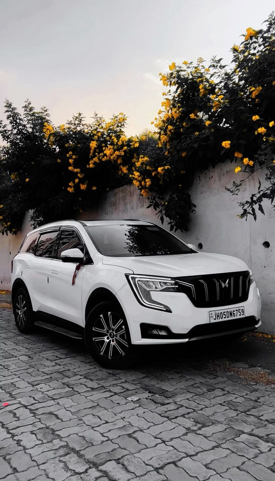 image comparison before