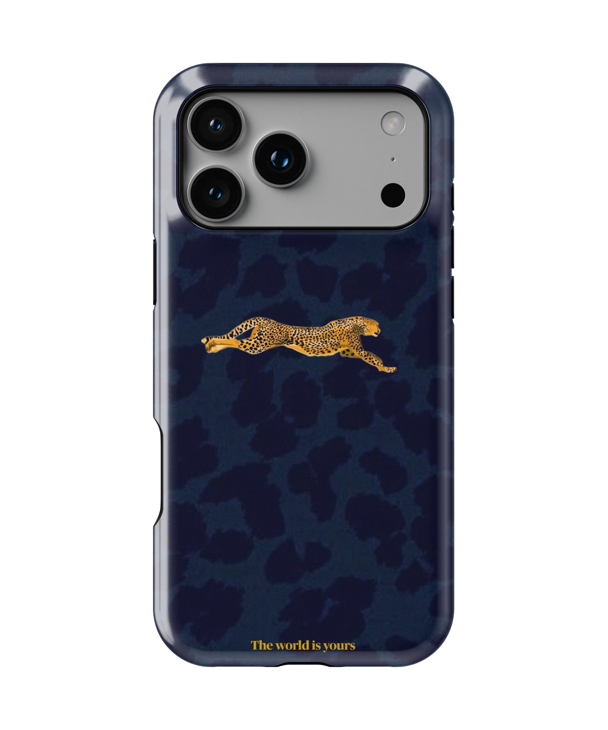 Lone Star Phone Case.